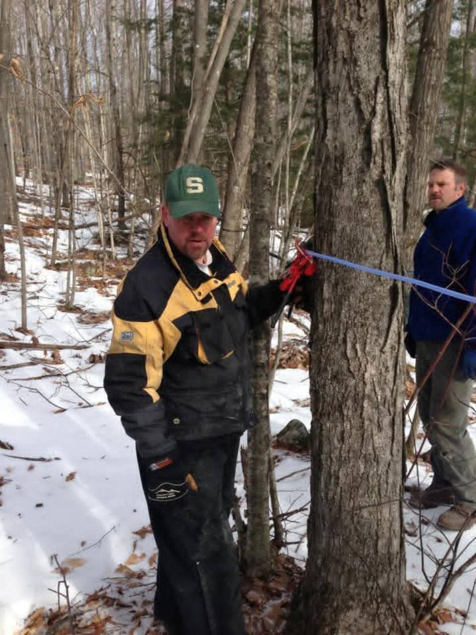 Two people working at a maple tree with blue sap tubing in the snowy woods